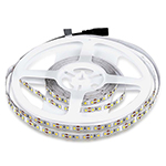 BANDA LED SMD3528 120LED/M 6500K IP20 5M